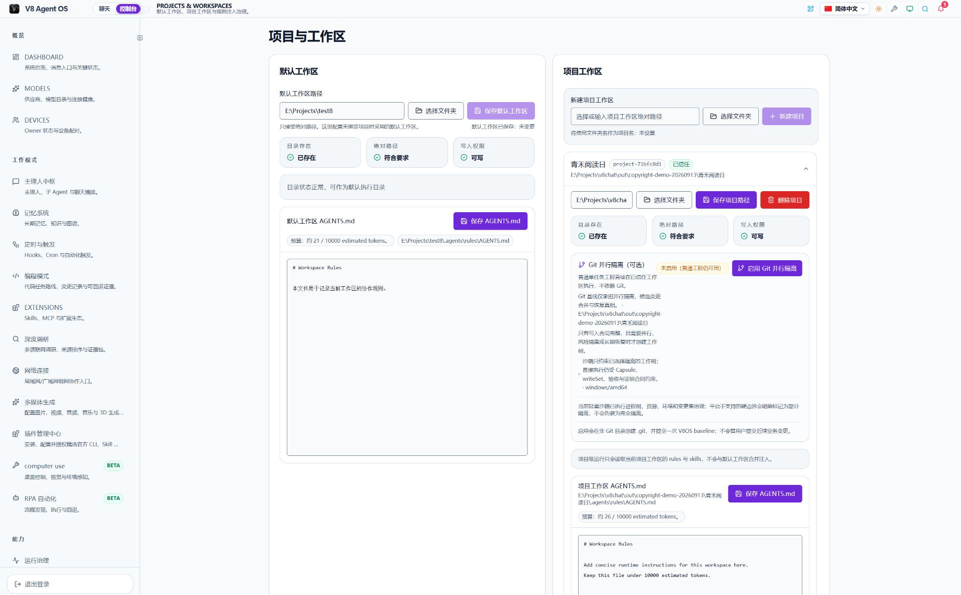 V8 projects and workspaces console showing a demonstration project folder and workspace rules